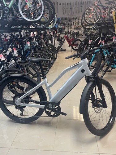 ebay stromer