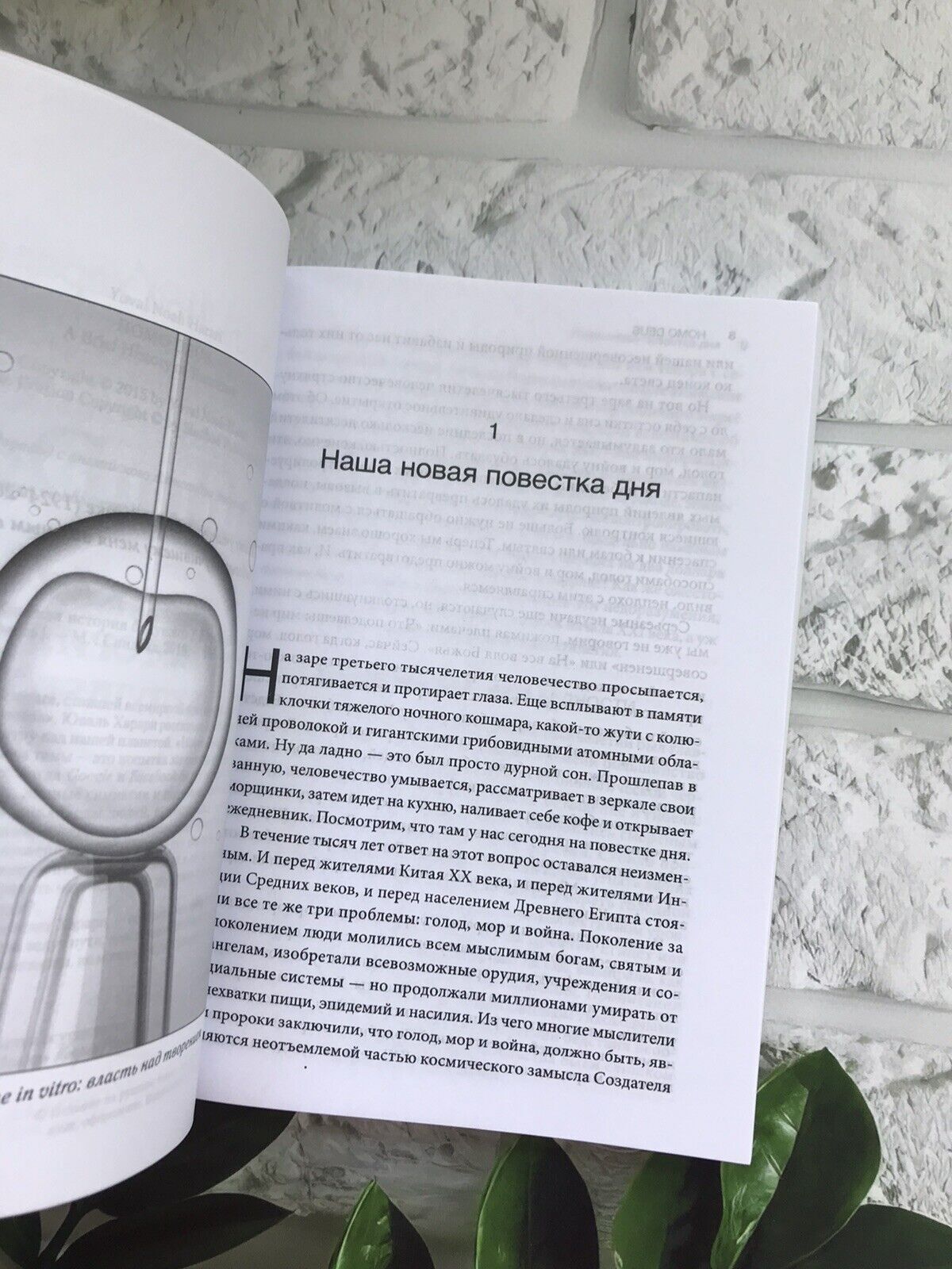 Thumbnail - Юваль Ной Харари | Homo Deus. Краткая История Будущего | Buch