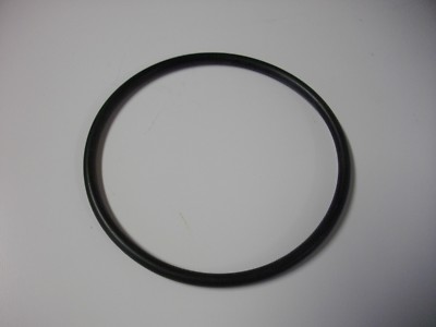 Berkeley Jet Pump hand hole cover O-ring S13734 