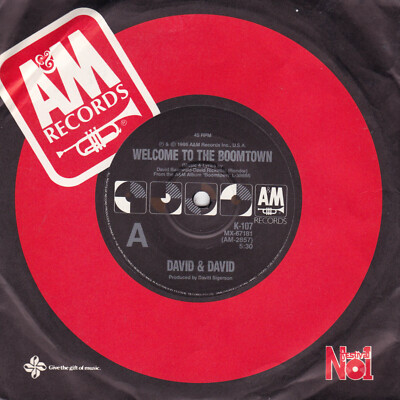 DAVID & DAVID Welcome To The Boomtown / A Rock For The Forgotten  45    SirH70