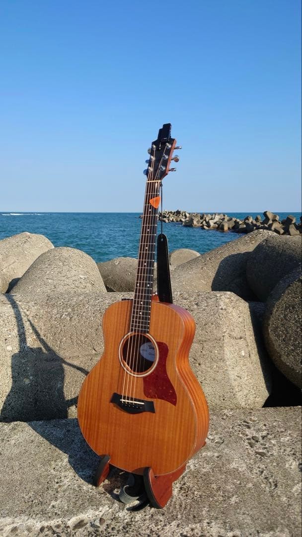 Super Rare Es2 Equipped Taylor Gs Mini-E Mahogany No.MG739 | eBay
