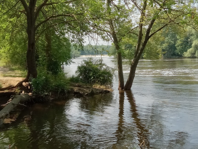 CASH For Deeded LAND in Niles, MICHIGAN! ACROSS FROM THE RIVER & PARK!