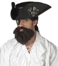 Pirate Captain Hook Moustache  Beard Adult Costume