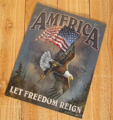 American USA Flag Pole Bald Eagle Patriotic Civil Liberty Metal Sign Art Picture