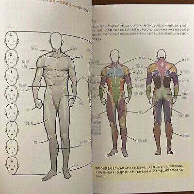 Human body poses and art anatomy of Shepherd How to draw manga anime Book