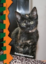 Geburtstagskalender - Dauerkalender - Kalender Katzen - Katzenkalender A5