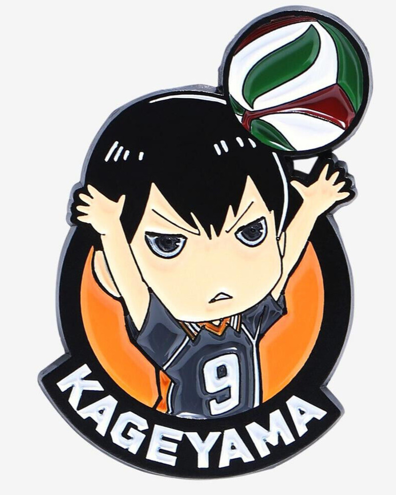 Pin on haikyu anime