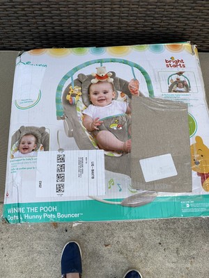 disney winnie the pooh bouncer