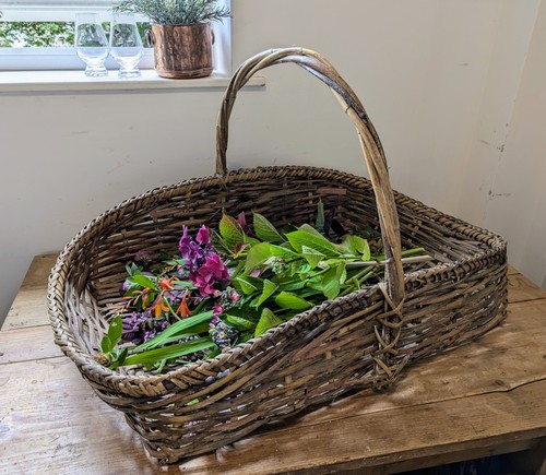 Wicker Trug'Flower Basket'1900-1910 English Original Condition Rare Prop Display - Picture 19 of 24