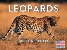 Leopard Calendar 2026 Monthly Wall Calender 12 Month  American Made In The USA