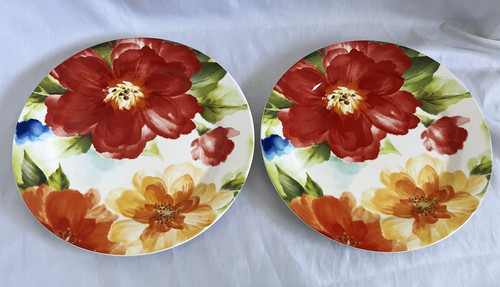 PIER 1 IMPORTS Amelia set of 2 ironstone dinner plates.  Bold floral pattern.