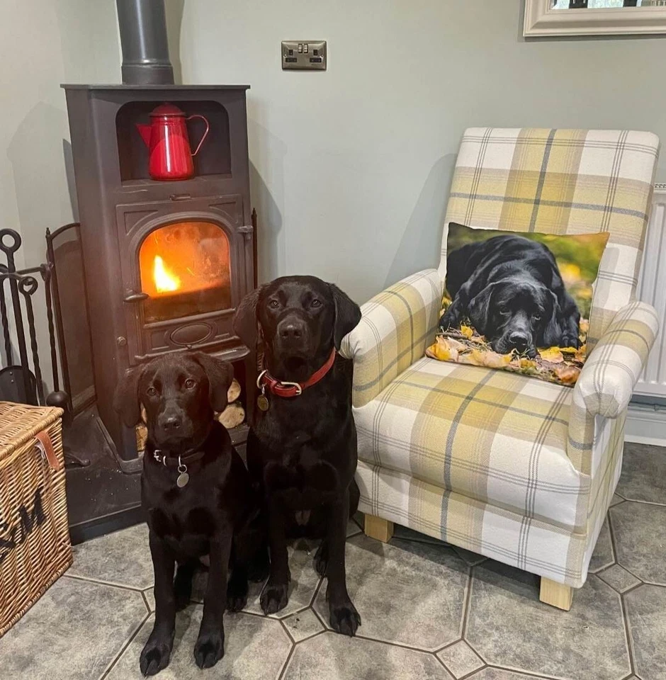 Laura Ashley Patchwork Fabric Adult Chair Pink Blue Gingham Floral Duck Egg Spot - Image 4 of 4