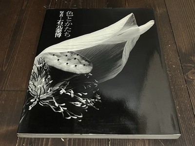 YASUHIRO ISHIMOTO COLOR AND SHAPE JAPANESE PHOTO BOOK 2003 NIKON SALON BOOKS