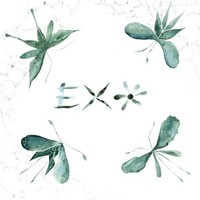 Exo - Vinyl Record Vl - G3Z