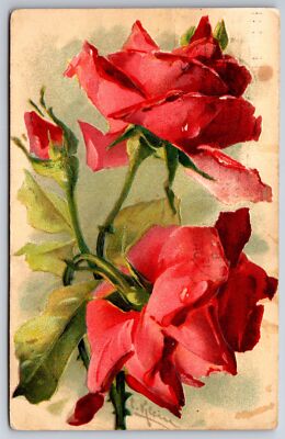 Catherine Klein~Beautiful Full Red Roses Drop Dew~Close Up~Embossed Germany 1911