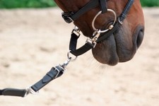 ATTACCO MORSO PER LONGIA NYLON COUPLING ATTACHMENT FOR BIT LONGIERBRILLE