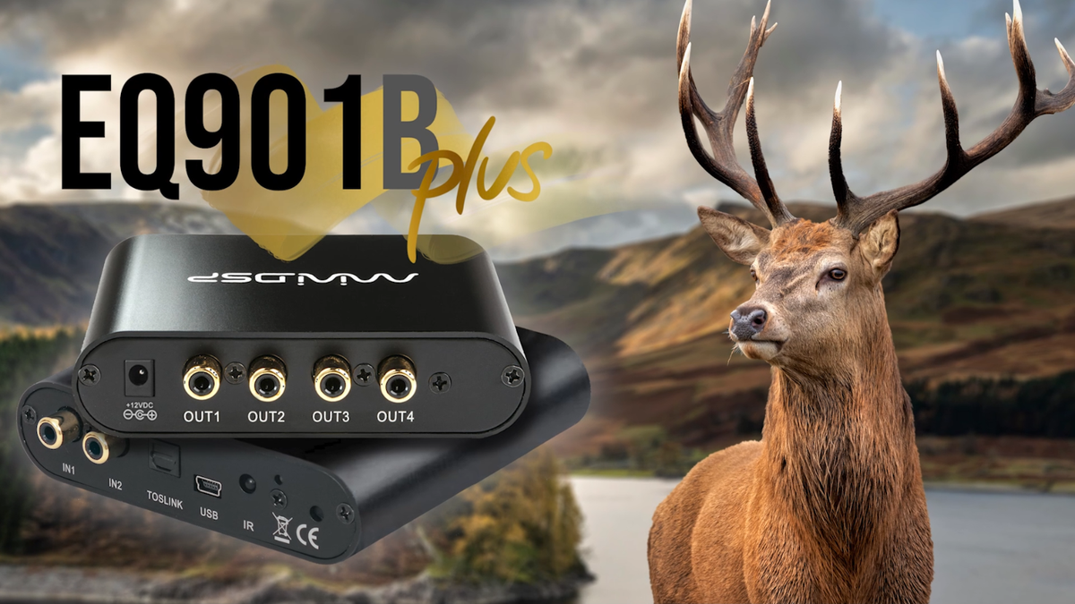 EQ901B Plus V/VI Replacement Upgrade for BOSE 901 Series V and VI