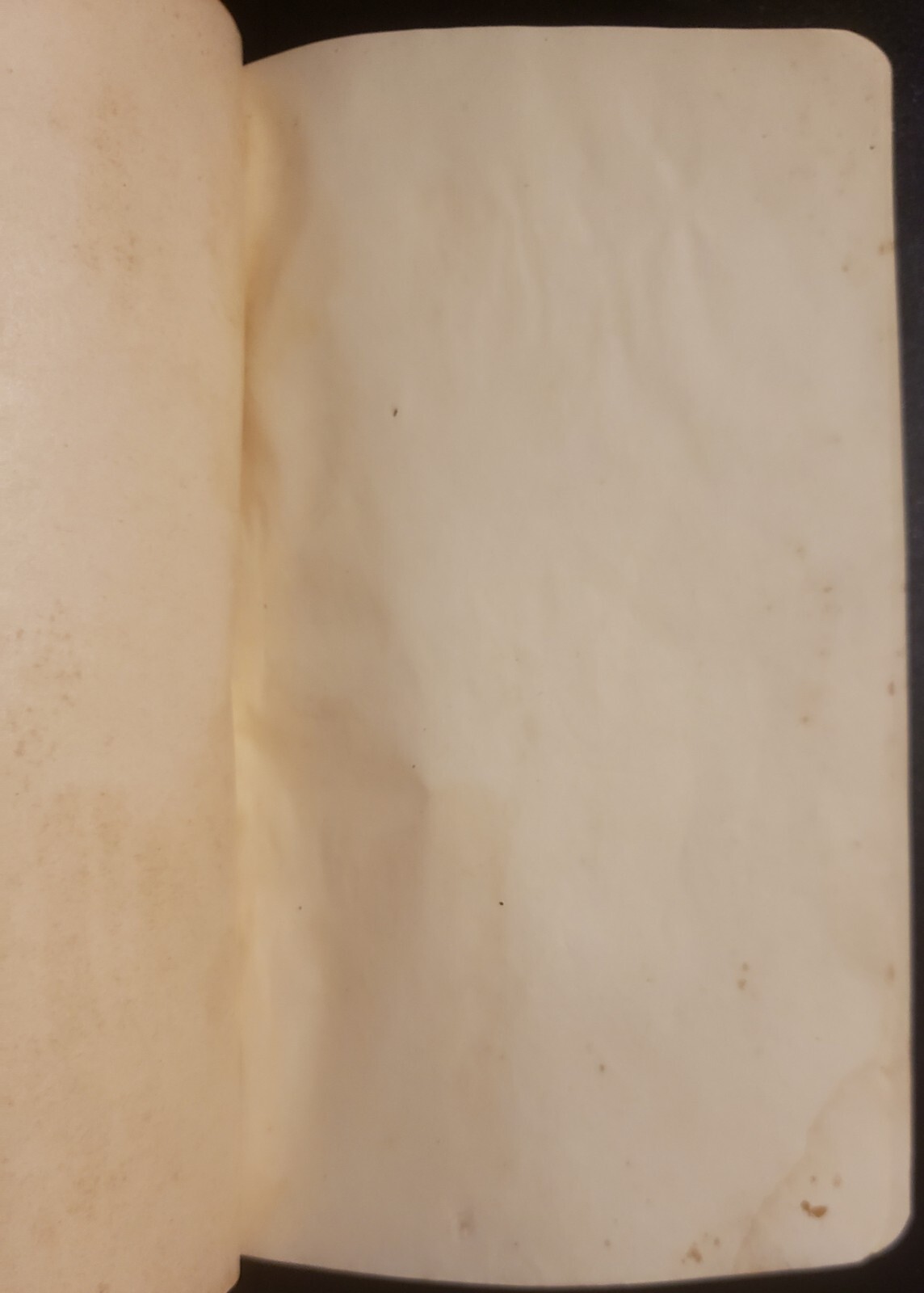 Picture 3 of 20