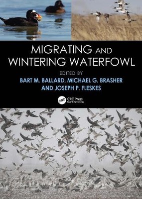 Migrating and Wintering Waterfowl by Bart M. Ballard, Michael... - 9781041142294