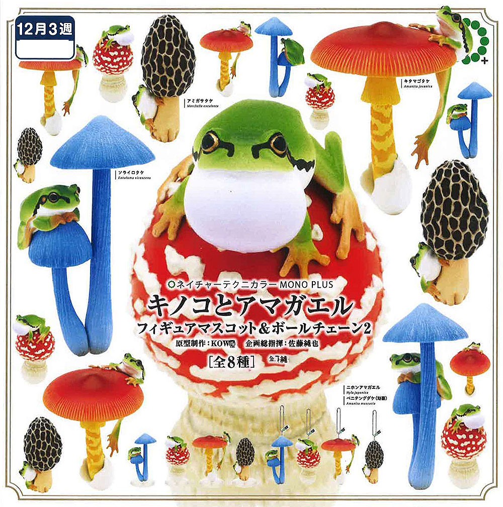Nature Techni Color MONO PLUS Mushroom & Japanese Tree Frog