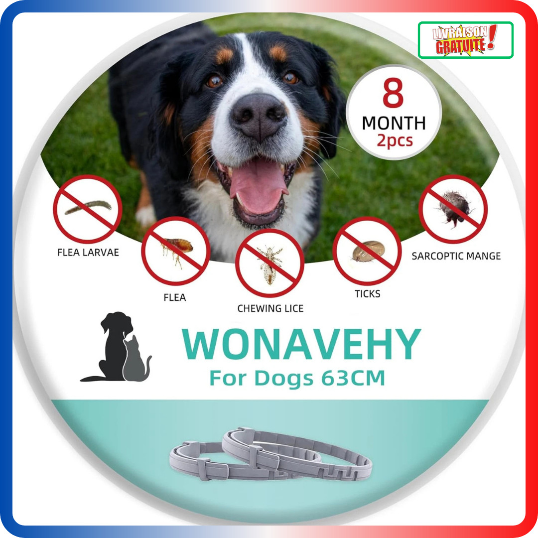 Collier antiparasitaire chien pour des promenades en forêt sans puces ni tiques en lot de 2