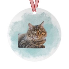 Custom Cat Metal Ornaments, Personalized Pet Memorial Gifts, Pet Holiday Decor