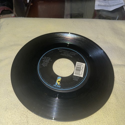 BUCKWHEAT ZYDECO Hey Good Lookin' 45rpm 7" Single ISLAND 1990 NM eBay