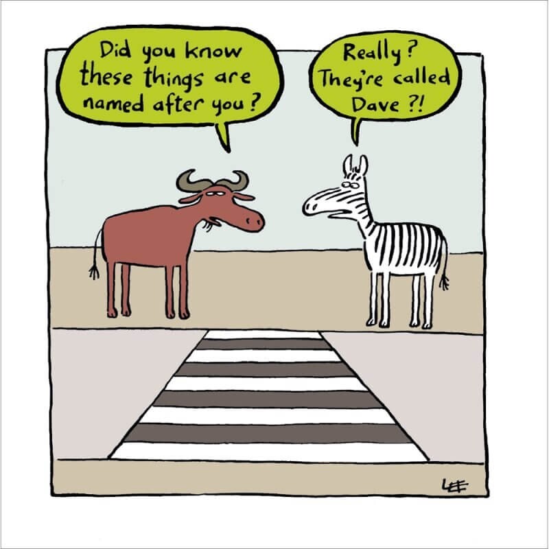 Funny Birthday Card Zebra Crossing Dave - Humorous Illustrated Greeting Card