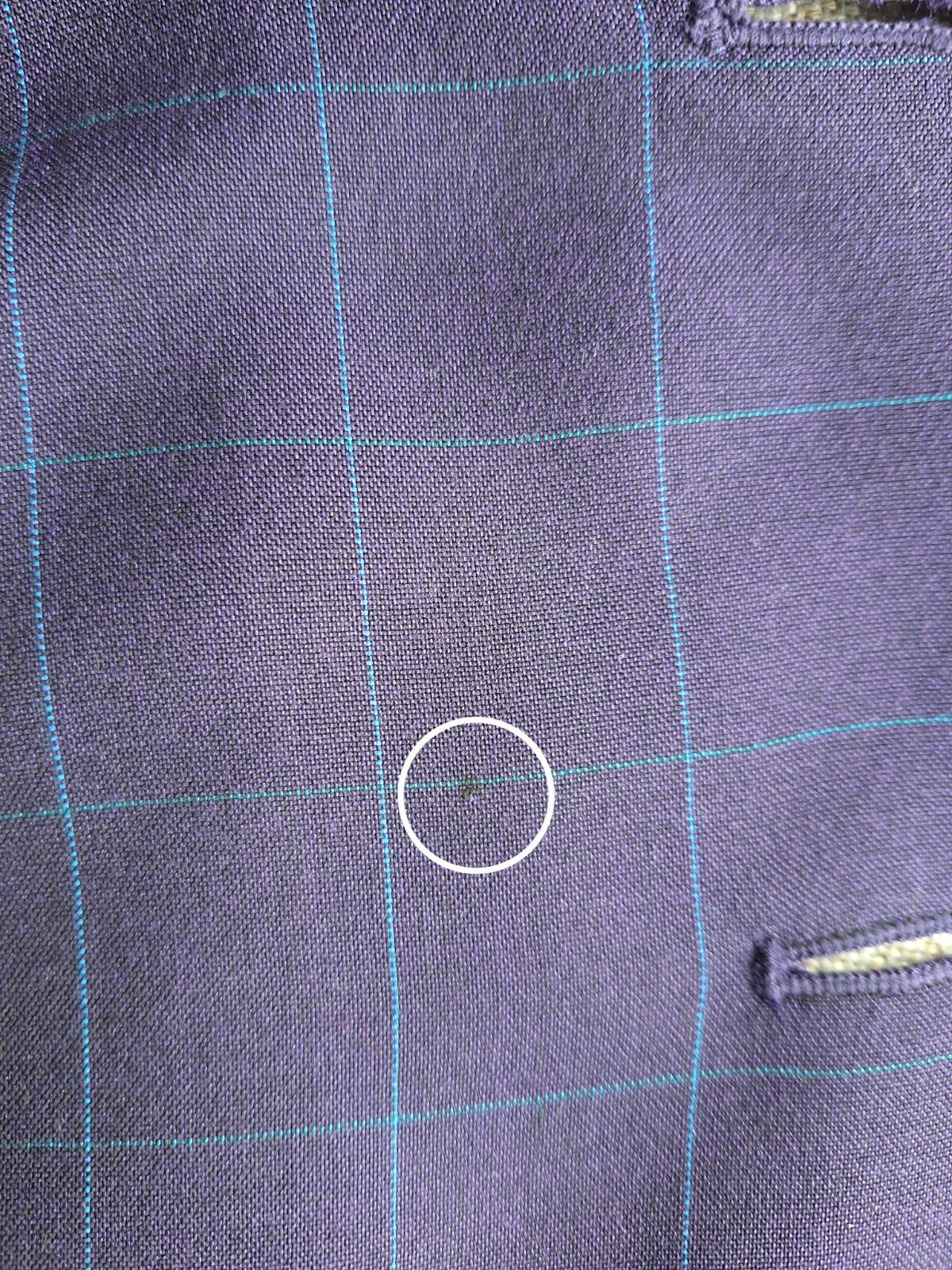 Picture 10 of 10