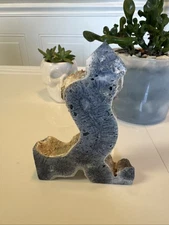 Blue Coral  Freeform 4.75” 162 Grams