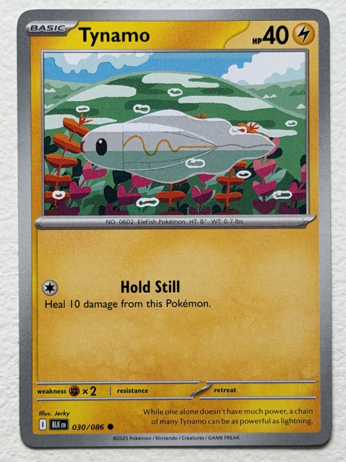 Tynamo 30/86 Black Bolt Common Near Mint Pokemon