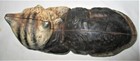 Bild 5 von 11