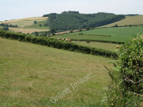 Photo 6x4 Small meadow east of White Eagle Ashburton Its area is less tha c2010