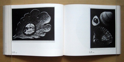 M.C. ESCHER, Magic art EXHIBITION ESCHER, Catalogue / 1981 - Picture 7 of 12