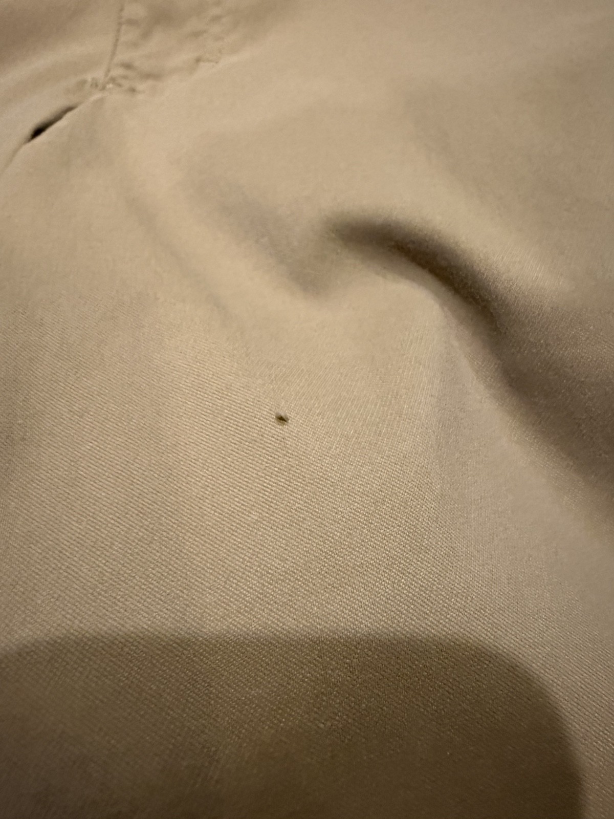 Wrangler All Terrain Cargo Pants Mens 29x30 Khaki Nylon Moisture Wicking Hiking thumbnail 7