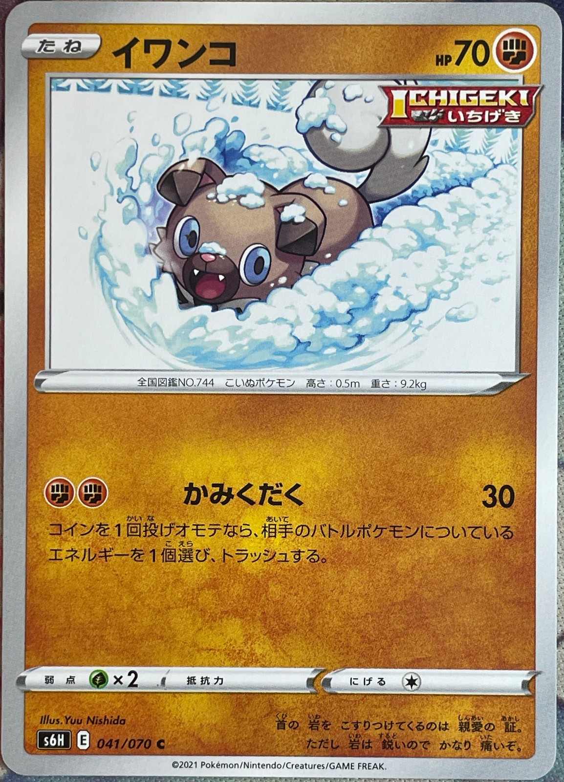 Rockruff - 041/070 C - Silver Lance S6H Pokemon 2021