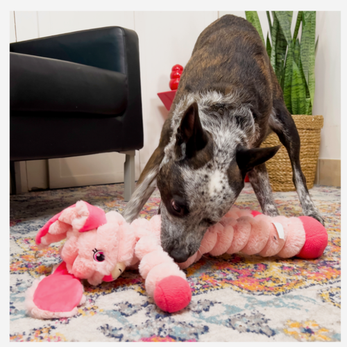 KONG Shakers Crumples Bunny XL Dog Toy Extra Large Plush Squeaky Crinkle Tug Dur - Picture 5 of 5