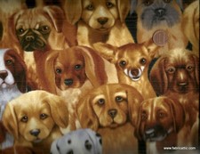 Dogs cute puppies faces Timeless Treasures 12 inch piece fabric
