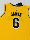 LeBron James Signed Los Angeles Lakers NBA Basketball Jersey COA