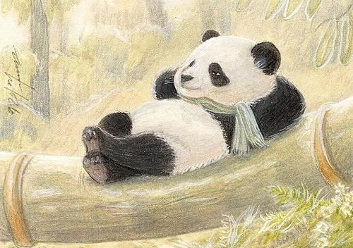 ACEO orig. pastel drawing little panda on bamboo, Zen by Anna Hoff Germany