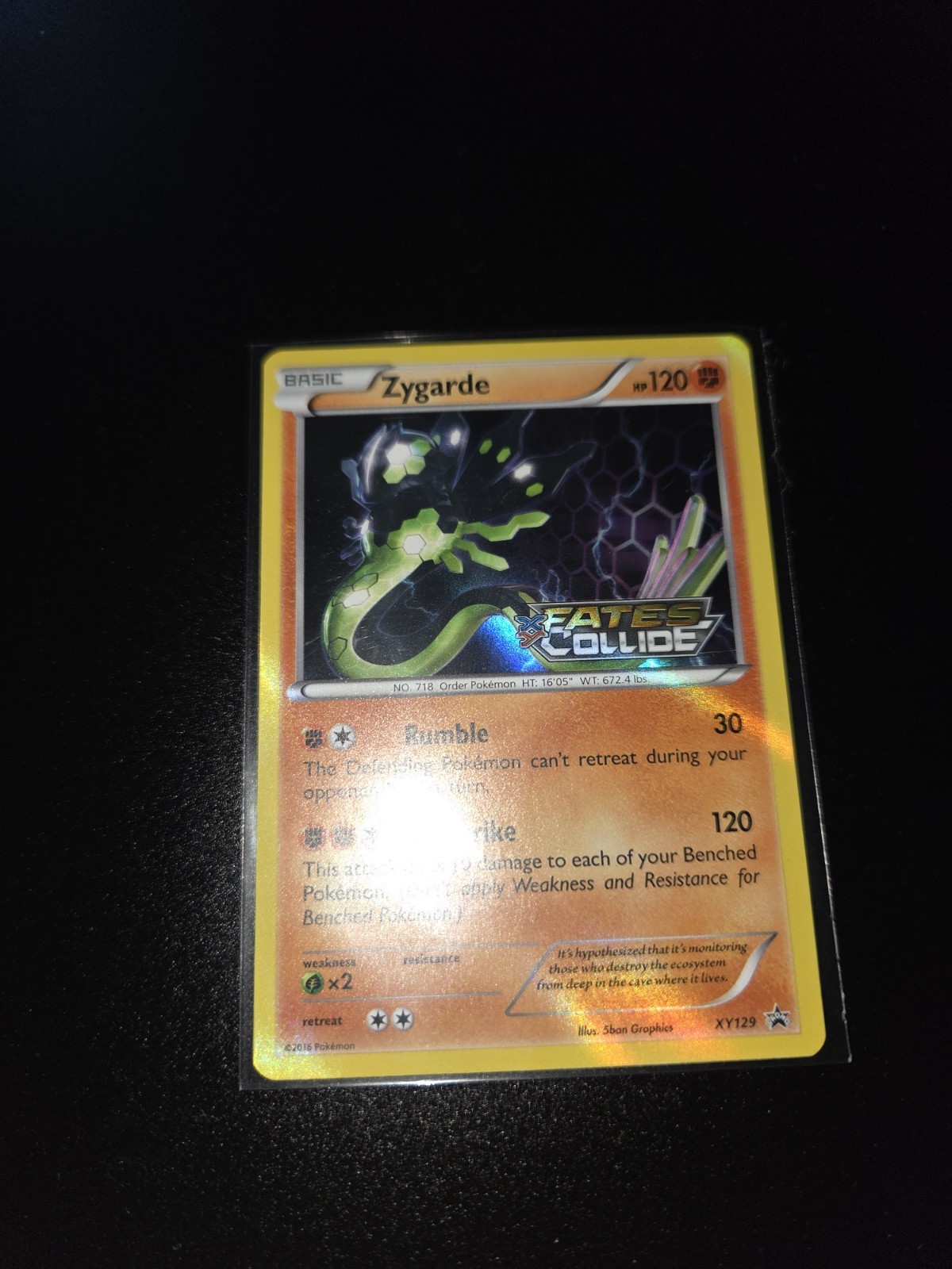 Pokemon TCG Zygarde (Prerelease) Promo Holofoil XY Promos XY129 LP