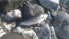 Bild 3 von 25