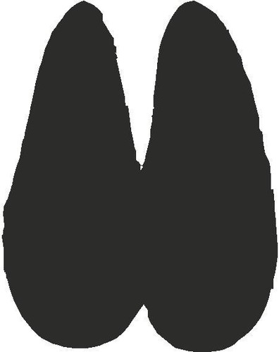 KT Animal Tracks Paw Hoof Claw Decal Sticker - Various Colours - 46 Designs - Picture 27 of 46