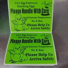 100 Large 4" x 3" Handle with care Hatching Eggs No Arrow Mailing Shipping Label