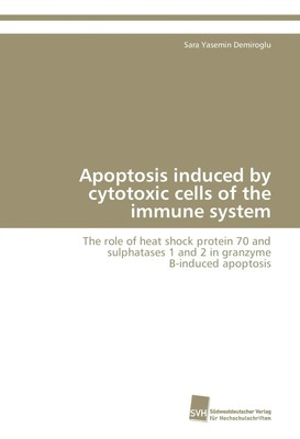 Apoptosis induced by cytotoxic cells of the immune system | Demiroglu | Englisch