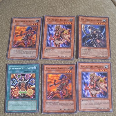 Yu-Gi-Oh! Amazoness Blowpiper Paladin Spellcaster Unfriendly Amazon Lot 6 cards
