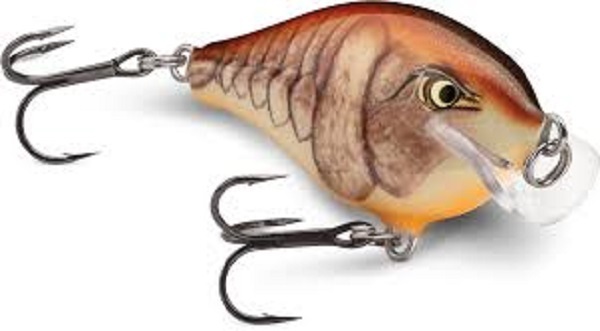 Leurre Rapala Scatter Rap Crank Shallow 5cm 9gr Coloris Mule - Pour Spinning, Neuf