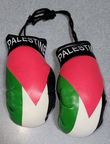 High Quality Country Flag MINI BOXING GLOVES - Rear View Mirror Gloves - New - Picture 94 of 134