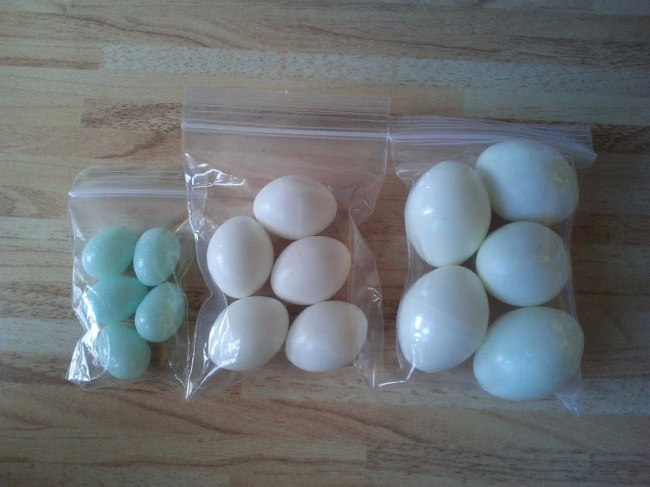 Nesteier Kanarien Wellensittich Vogeleier Exoten Kanarienvogel Nestei 5 Stück - Bild 2 von 4