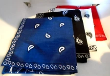 4PCS Bandanas Face Covering Mask Paisley Border Print 4 Colors